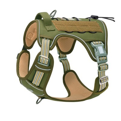 Are Dog Harnesses Supposed to Be Tight?